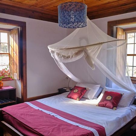 A Charming , Traditional Cottage at Quinta da Ribeira Vila Nova de Poiares Exterior foto