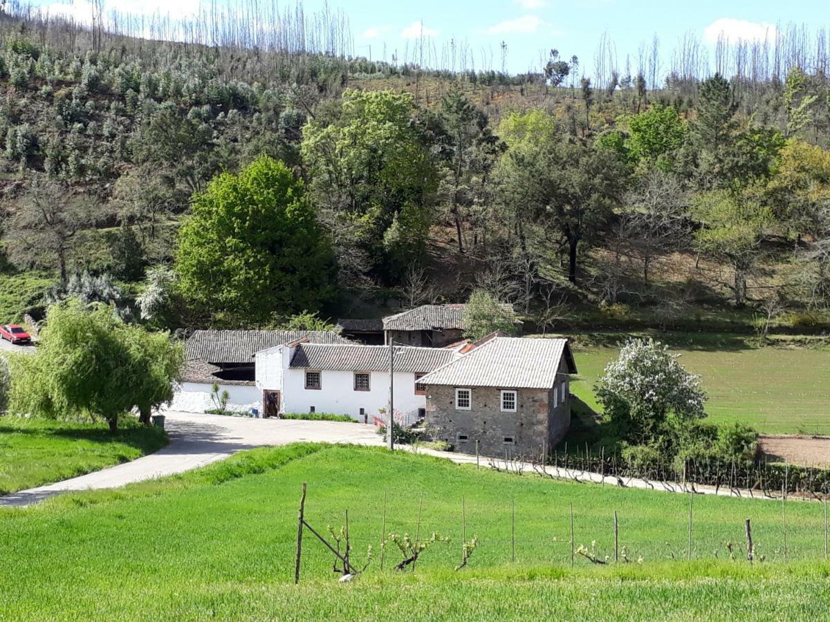 A Charming , Traditional Cottage at Quinta da Ribeira Vila Nova de Poiares Exterior foto