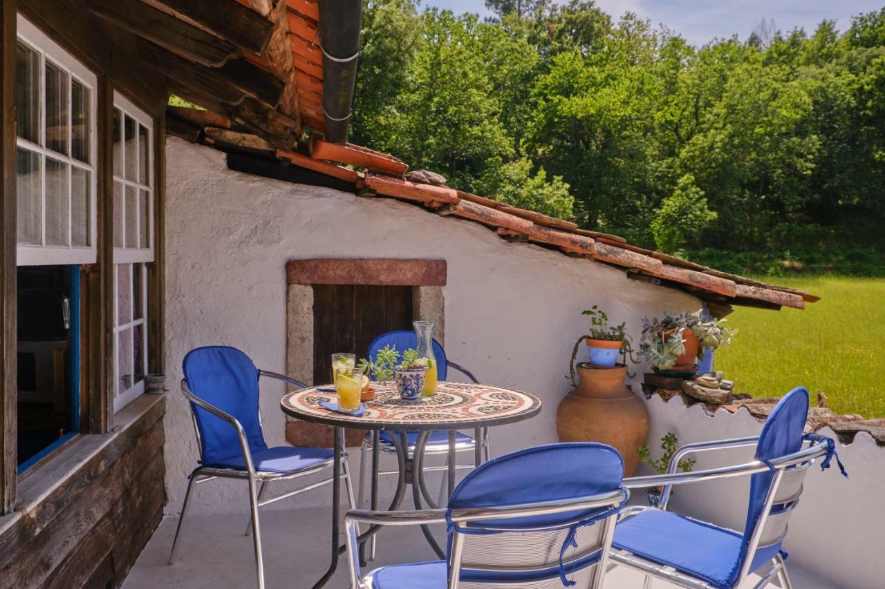 A Charming , Traditional Cottage at Quinta da Ribeira Vila Nova de Poiares Exterior foto